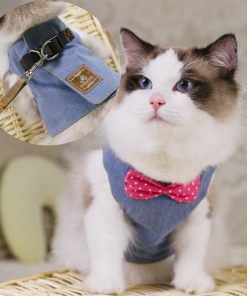 Pet & Accessories